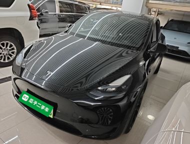 Tesla Model Y 2023 car image 