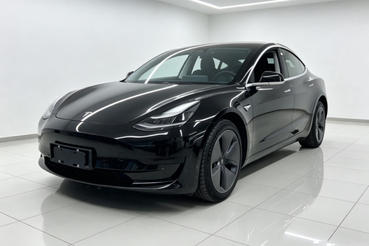 Tesla Model 3 2020 immagine di auto #2