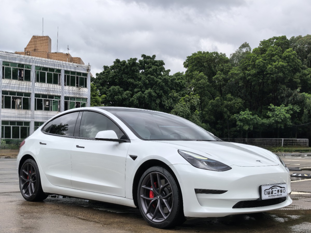 Tesla Model 3 2022 #3 Tesla Model 3 2022 car image #3