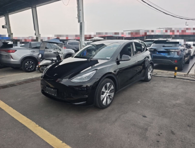 Tesla Model Y 2021 Tesla Model Y 2021 car image