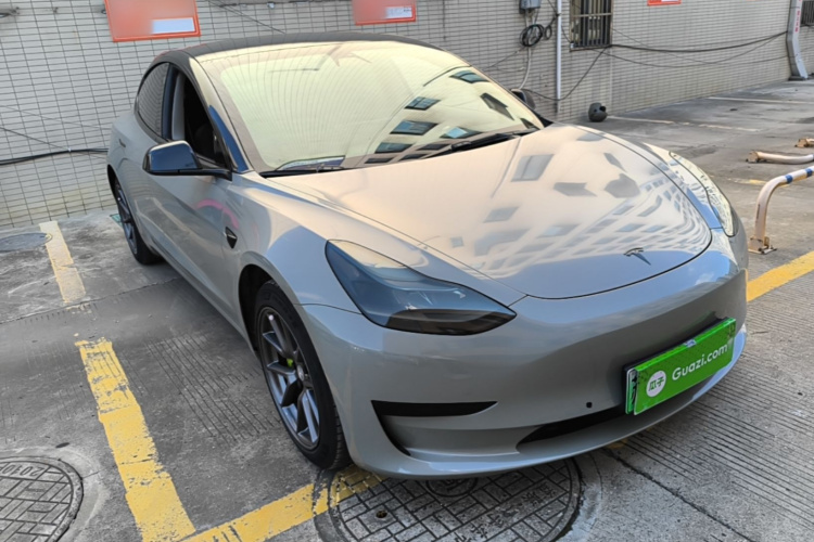 Tesla Model 3 2021 #6 Tesla Model 3 2021 car image #6