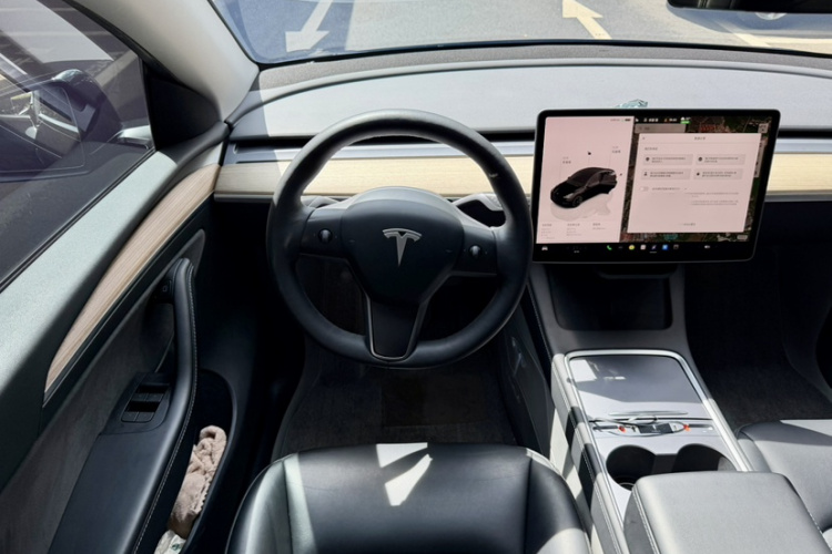 Tesla Model Y 2023 #16 Tesla Model Y 2023 immagine di auto #16