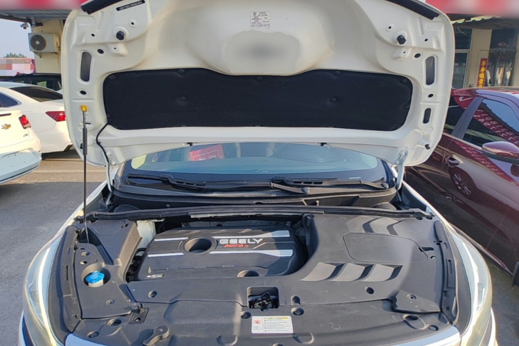 GEELY Emgrand GS 2019 car image #20