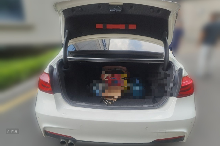 BMW 3 Series 2017 #21 BMW 3 Series 2017 car image #21