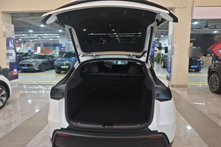 Tesla Model Y 2025 #19 Tesla Model Y 2025 car image #19
