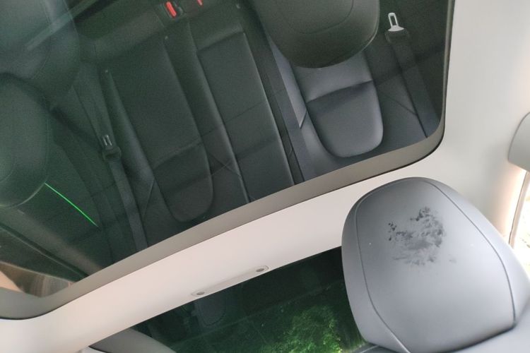 Tesla Model 3 2021 #18 Tesla Model 3 2021 car image #18