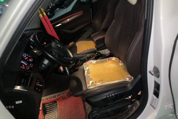BMW X1 2019 #17 BMW X1 2019 car image #17
