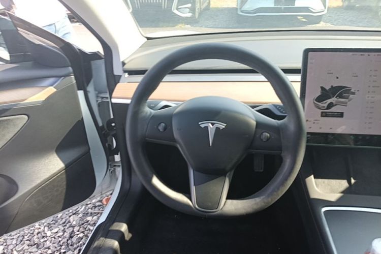 Tesla Model 3 2021 car image #11