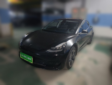 Tesla Model 3 2020 Tesla Model 3 2020 car image