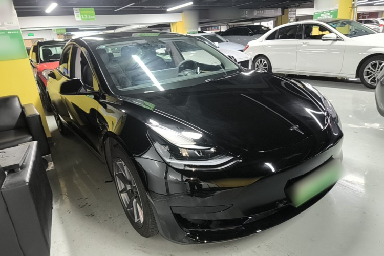 Tesla Model 3 2021 #4 Tesla Model 3 2021 car image #4
