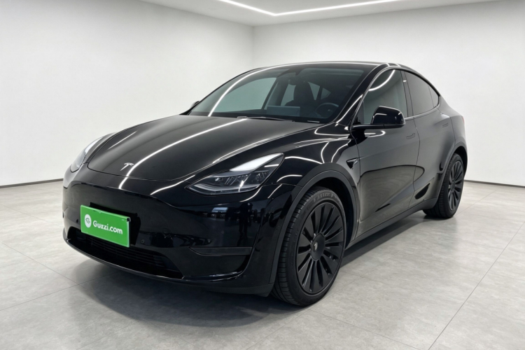 Tesla Model Y 2022 car image #2
