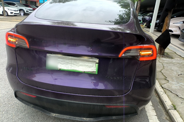 Tesla Model Y 2021 car image #6