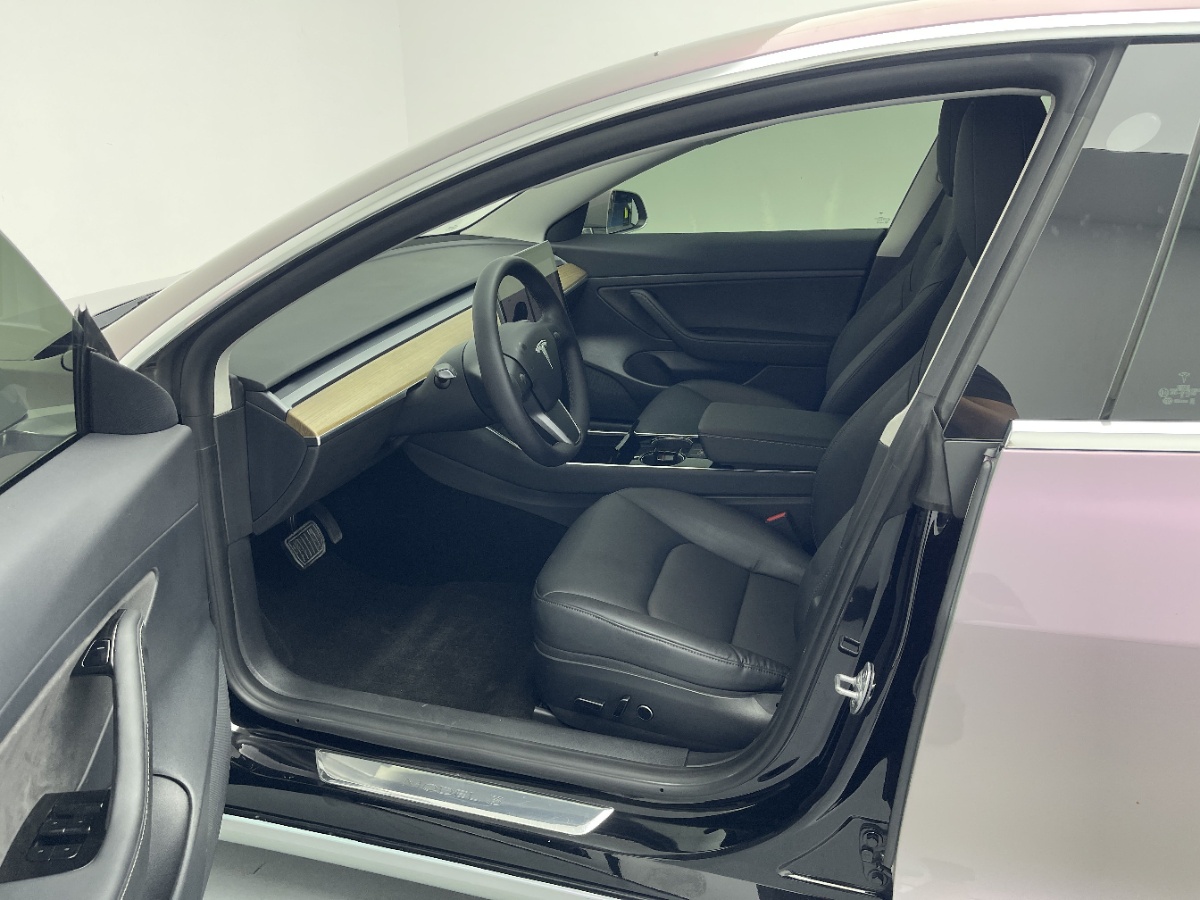 Tesla Model 3 2020 immagine di auto #4