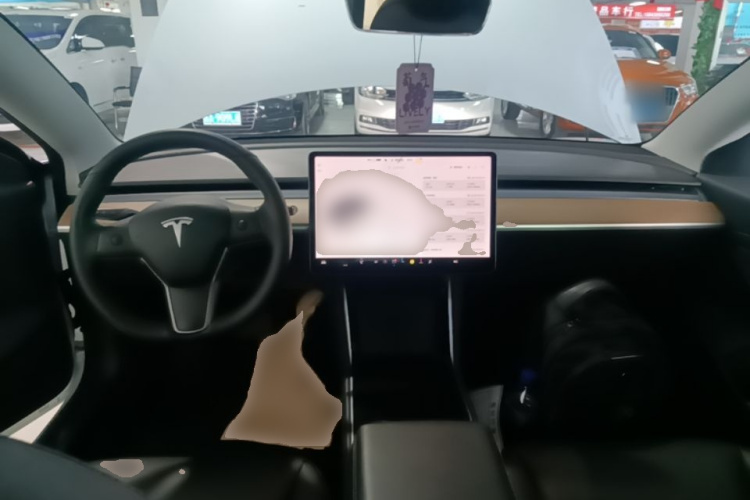 Tesla Model 3 2020 #10 Tesla Model 3 2020 car image #10