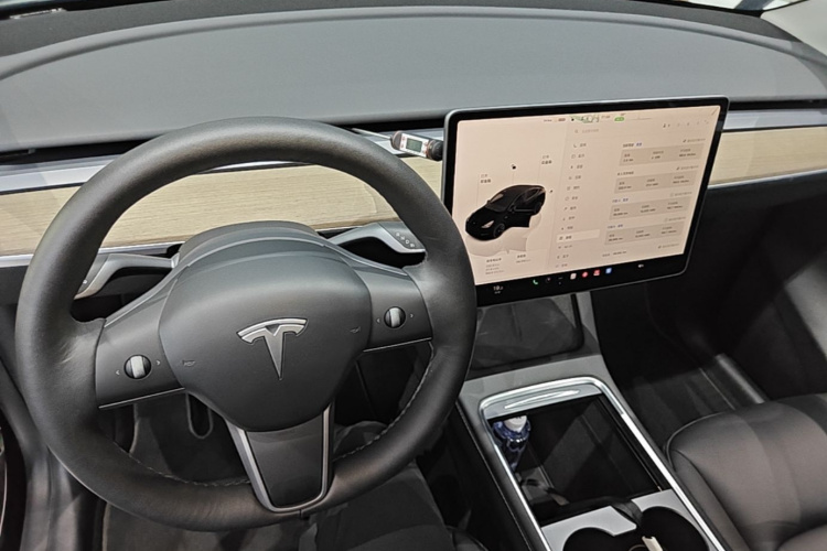Tesla Model Y 2022 car image #10