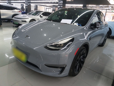 Tesla Model Y 2022 Tesla Model Y 2022 immagine di auto