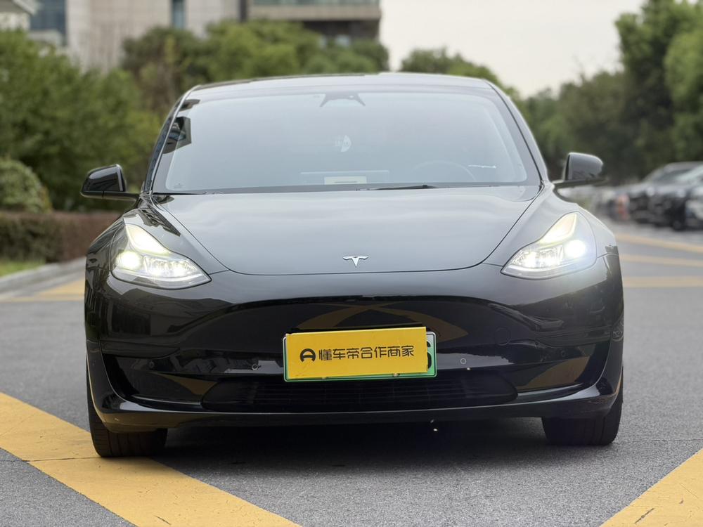 Tesla Model 3 2023 #2 Tesla Model 3 2023 car image #2