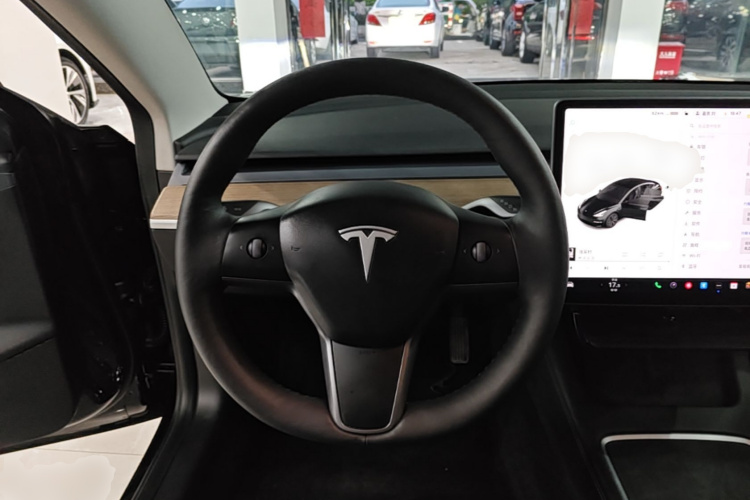 Tesla Model 3 2021 car image #11