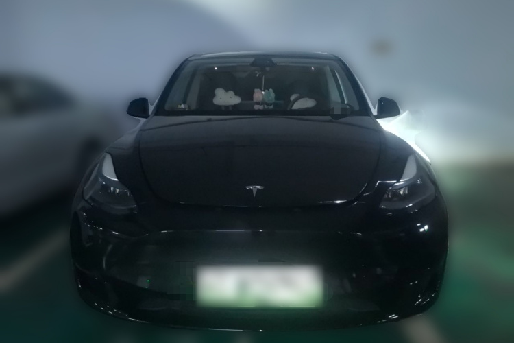 Tesla Model Y 2022 car image #3