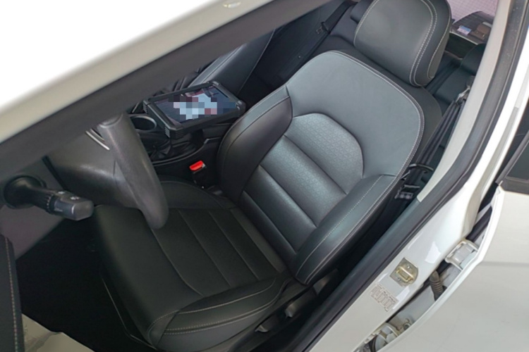 GEELY Emgrand 2021 immagine di auto #19