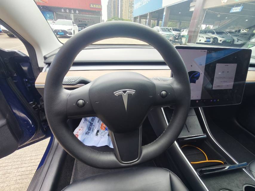 Tesla Model 3 2021 car image #14