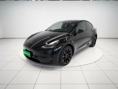 Tesla Model Y 2021 car image 