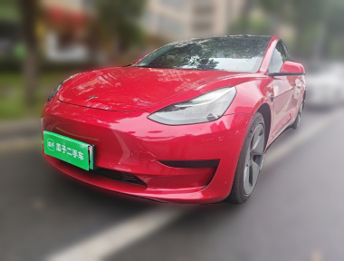 Tesla Model 3 2021 Tesla Model 3 2021 car image