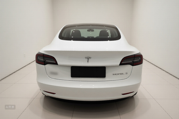 Tesla Model 3 2020 car image #6