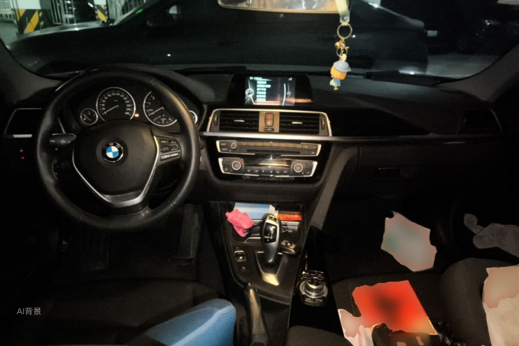 BMW 3 Series 2016 car image #11