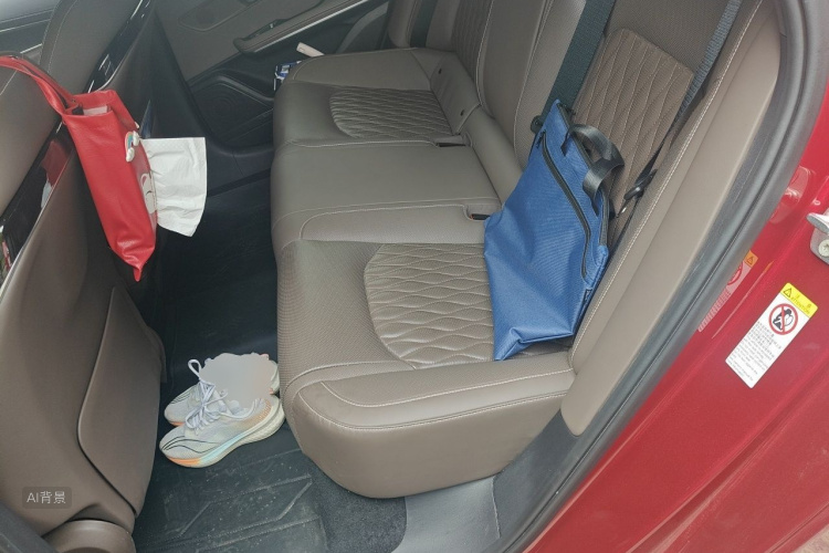 BYD Han 2020 car image #19