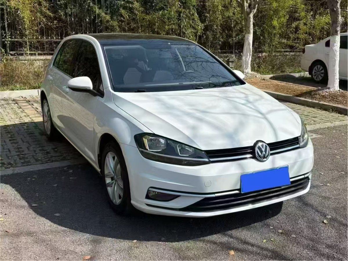Volkswagen Golf 2019 Volkswagen Golf 2019 car image