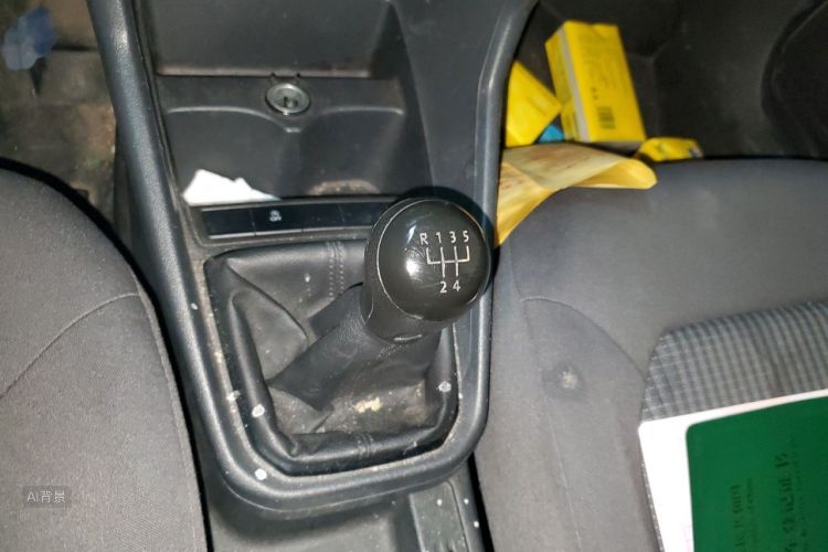 Volkswagen Santana 2019 car image #16