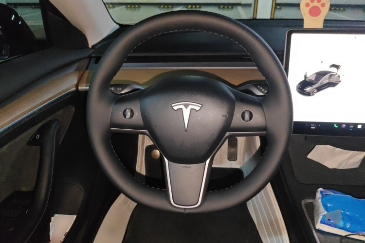 Tesla Model 3 2022 car image #11