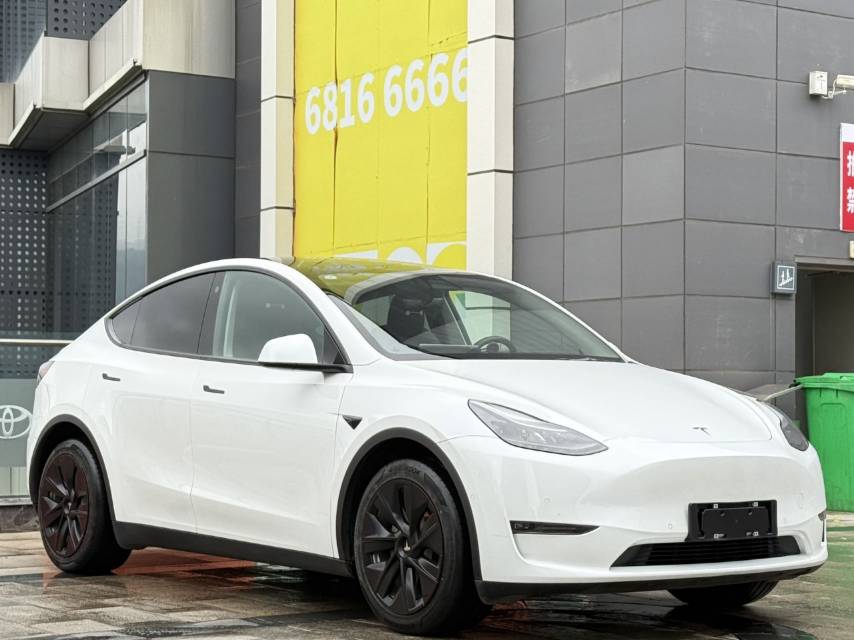 Tesla Model Y 2021 car image #3