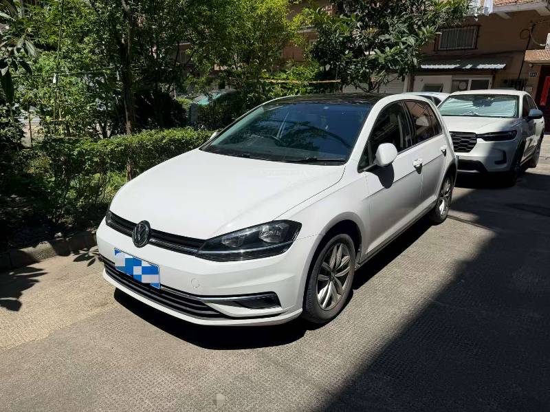 Volkswagen Golf 2019 car image 