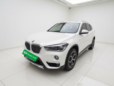 BMW X1 2019 car image 