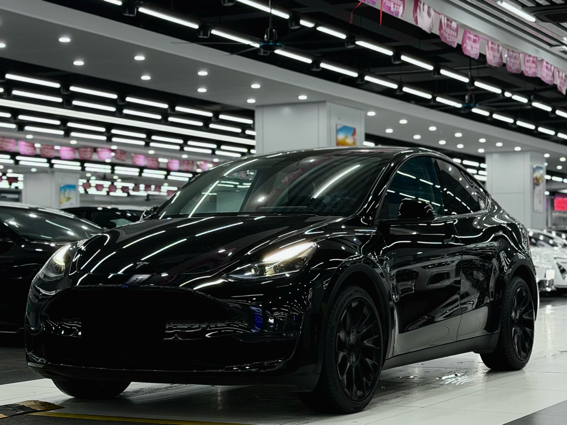 Tesla Model Y 2023 car image 