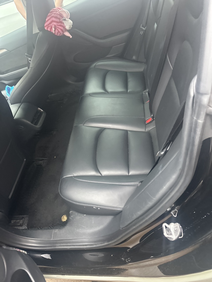 Tesla Model 3 2021 #3 Tesla Model 3 2021 car image #3