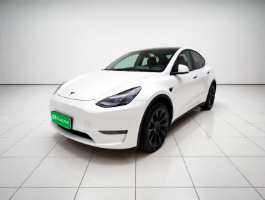 Tesla Model Y 2024 car image 
