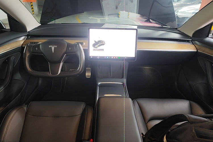 Tesla Model 3 2021 imagem de carro #10