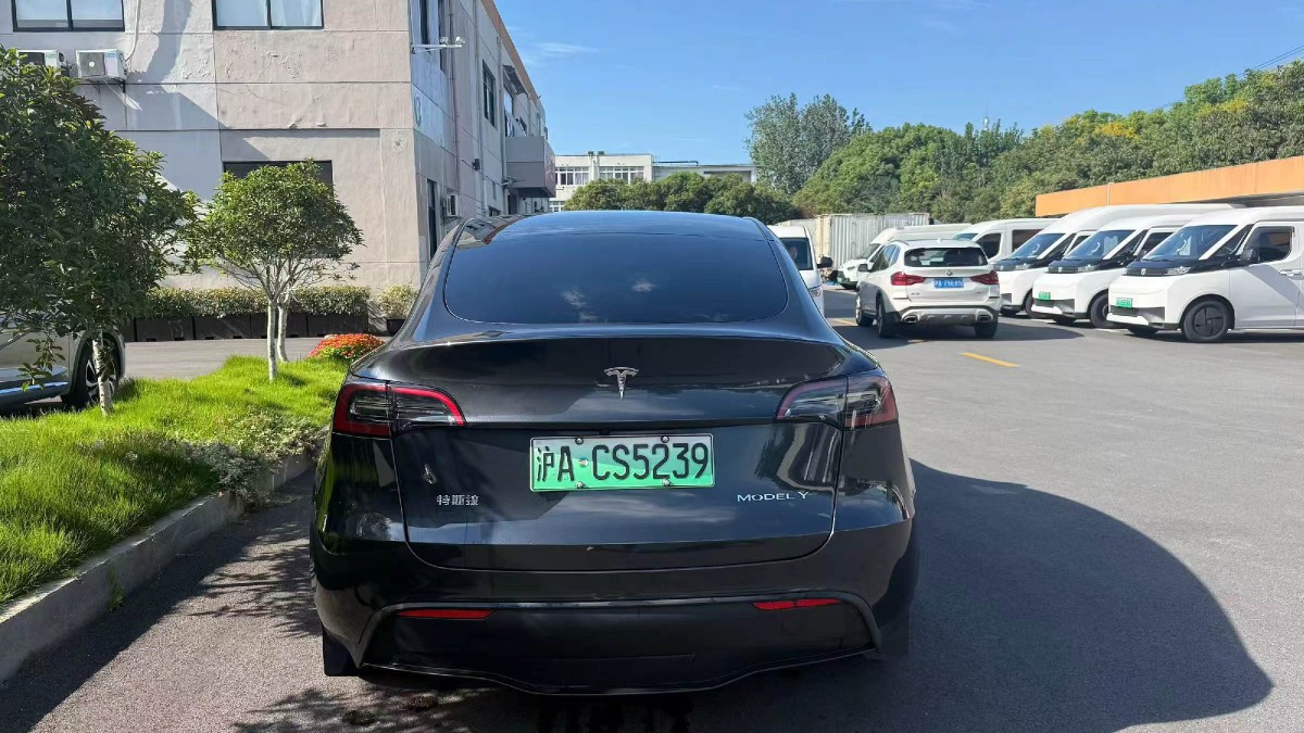 Tesla Model Y 2024 #8 Tesla Model Y 2024 car image #8