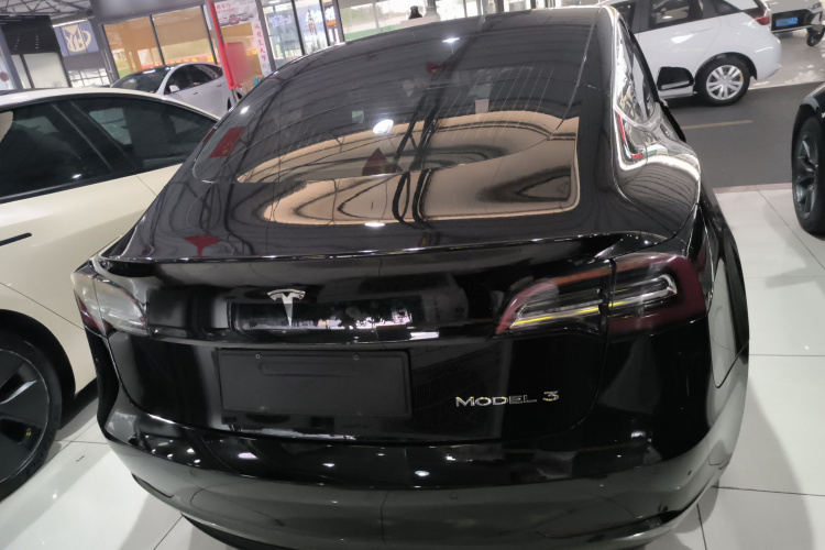 Tesla Model 3 2020 #6 Tesla Model 3 2020 car image #6