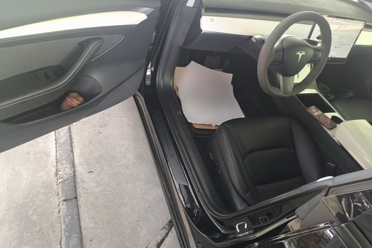 Tesla Model 3 2021 car image #12