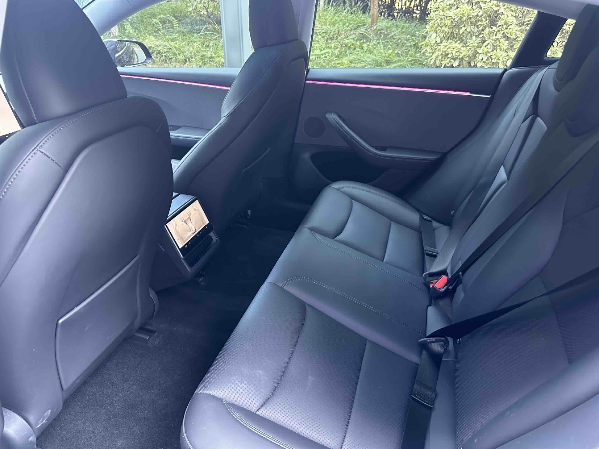 Tesla Model 3 2024 immagine di auto #8