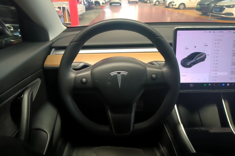 Tesla Model 3 2020 car image #11
