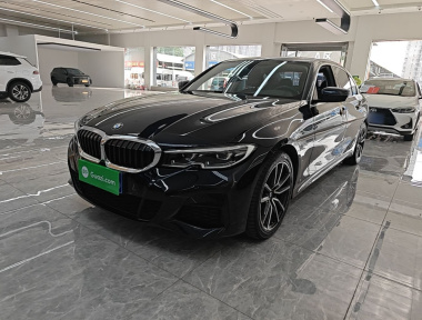 BMW 3 Series 2020 BMW 3 Series 2020 car image