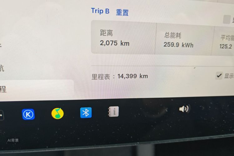 Tesla Model 3 2023 car image #14