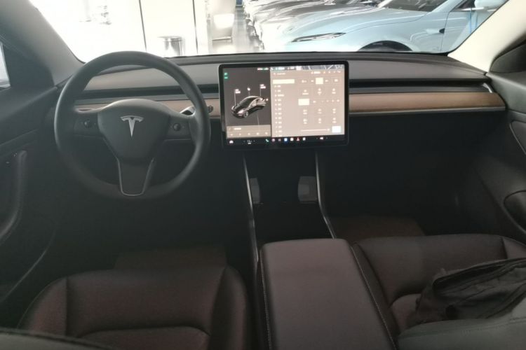 Tesla Model 3 2020 car image #10