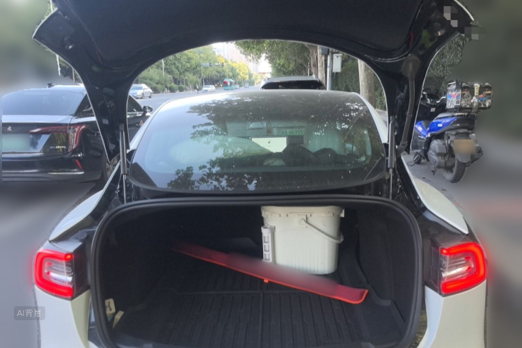 Tesla Model 3 2020 #21 Tesla Model 3 2020 car image #21