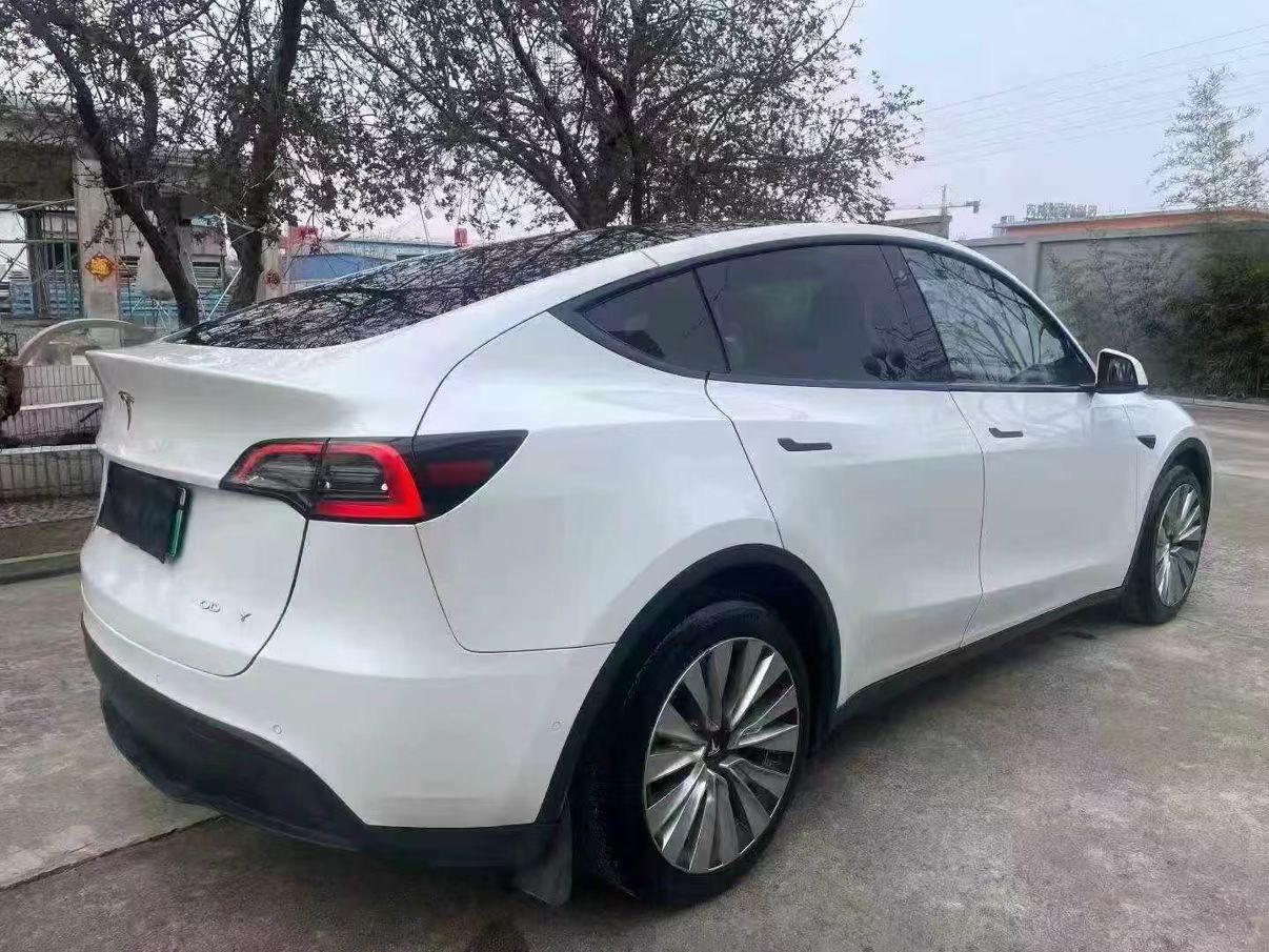 Tesla Model Y 2021 car image #7